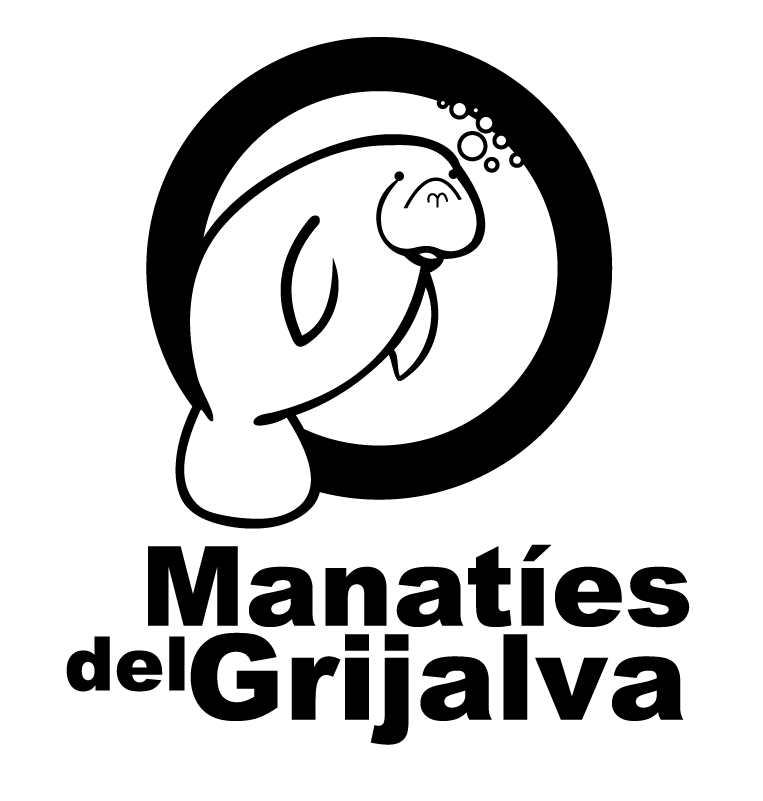Manatíes del Grijalva